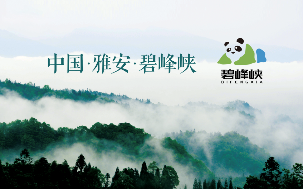 mg不朽情缘(中国)游戏官方网站