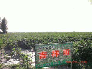 20140118160335624
