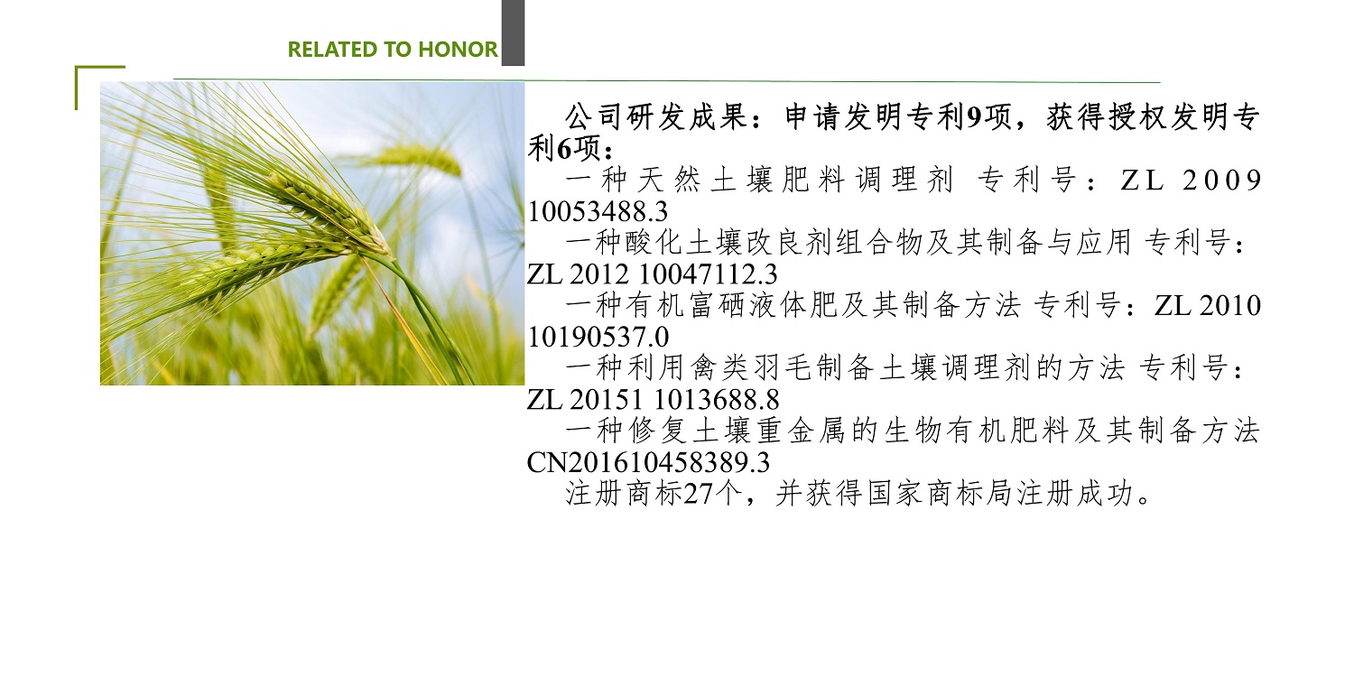 一种建复泥土沉金属的生物有机肥料及其造备步骤--成都非凡国际曹刚整顿的资料2021.12.7.0025.jpg