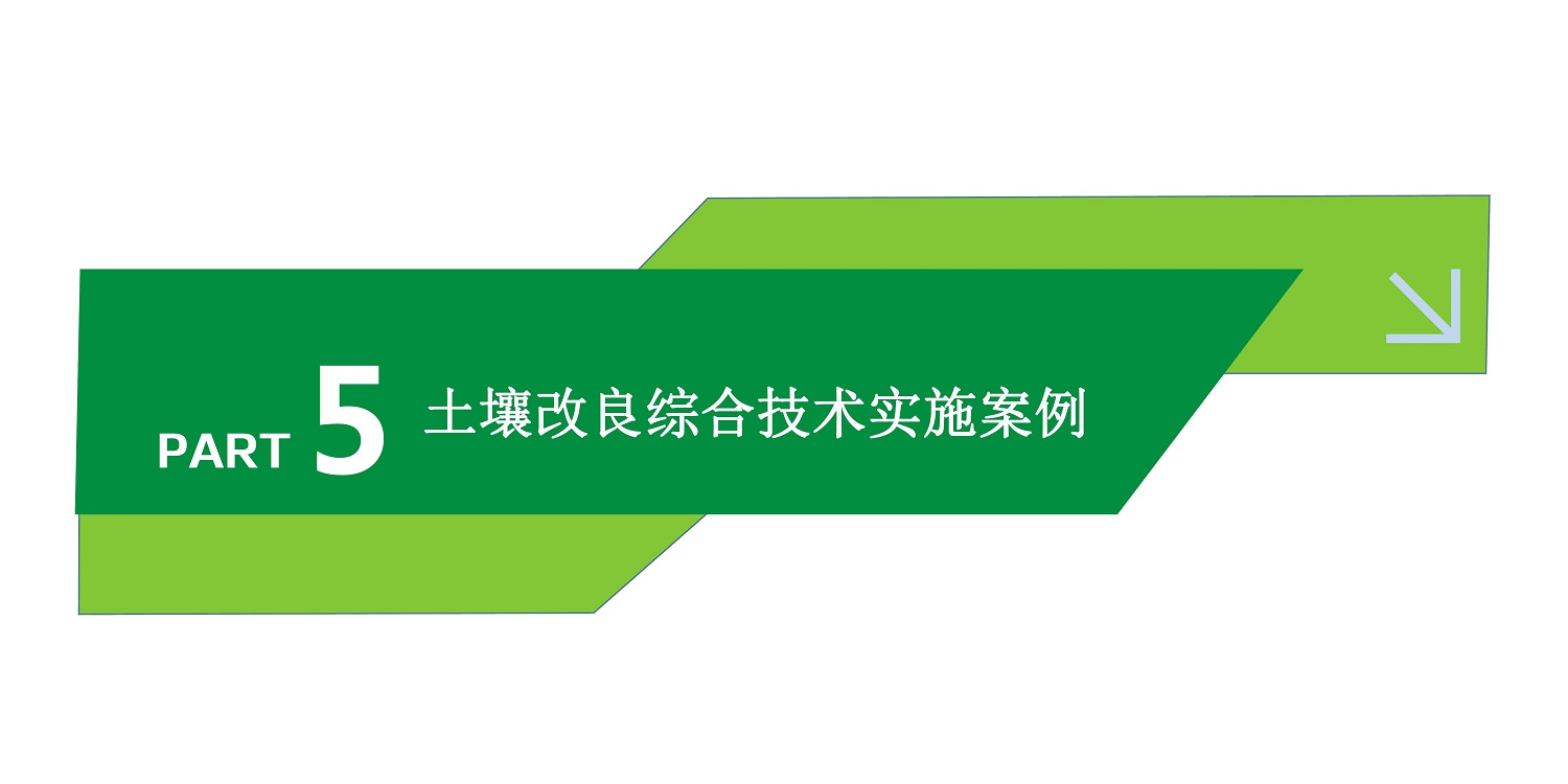 一种建复泥土沉金属的生物有机肥料及其造备步骤--成都非凡国际曹刚整顿的资料2021.12.7.0041.jpg