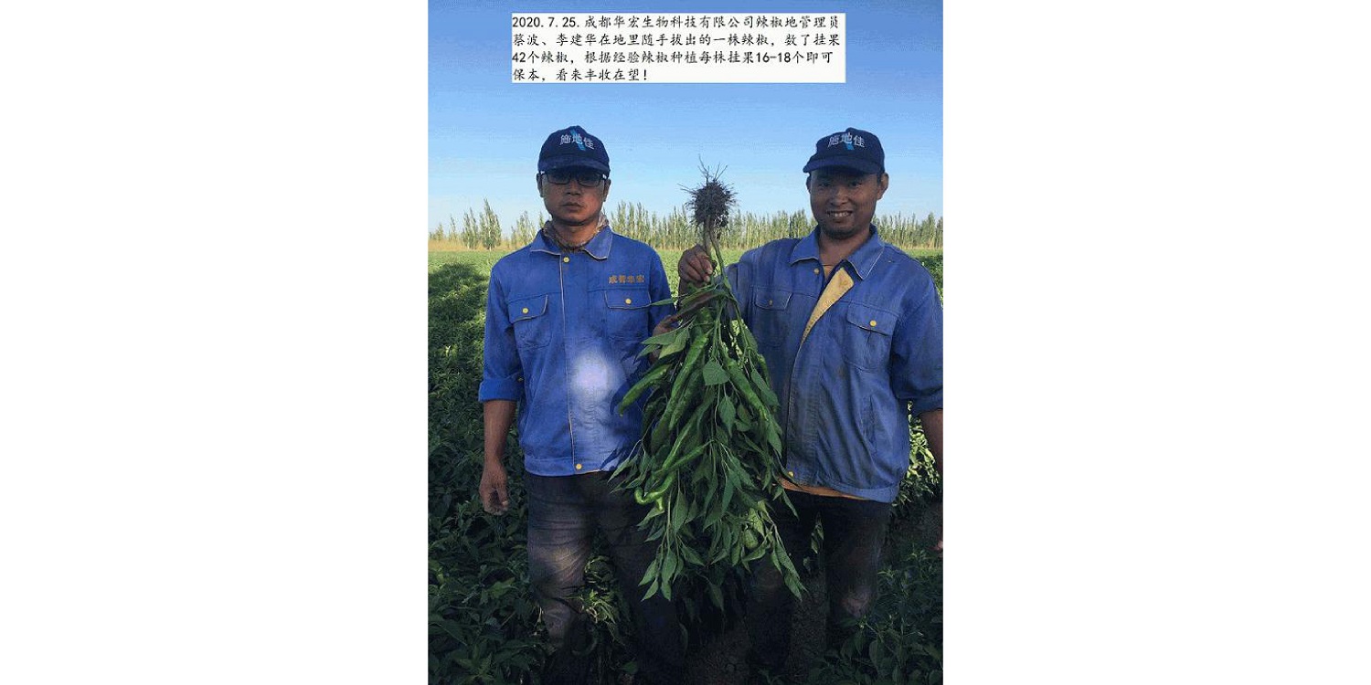 一种建复泥土沉金属的生物有机肥料及其造备步骤--成都非凡国际曹刚整顿的资料2021.12.7.0046.jpg