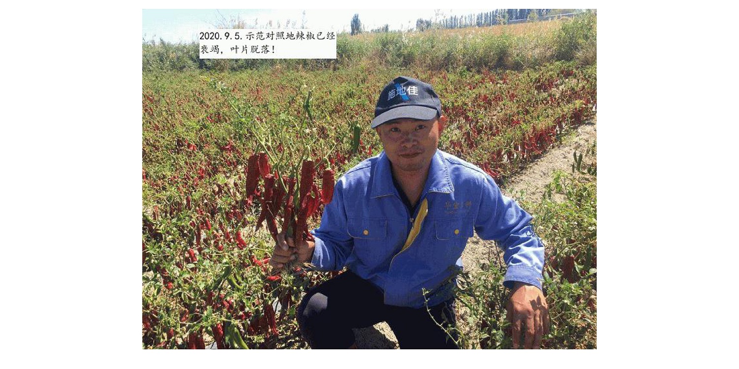 一种建复泥土沉金属的生物有机肥料及其造备步骤--成都非凡国际曹刚整顿的资料2021.12.7.0047.jpg