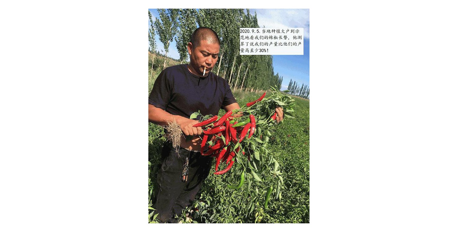 一种建复泥土沉金属的生物有机肥料及其造备步骤--成都非凡国际曹刚整顿的资料2021.12.7.0048.jpg