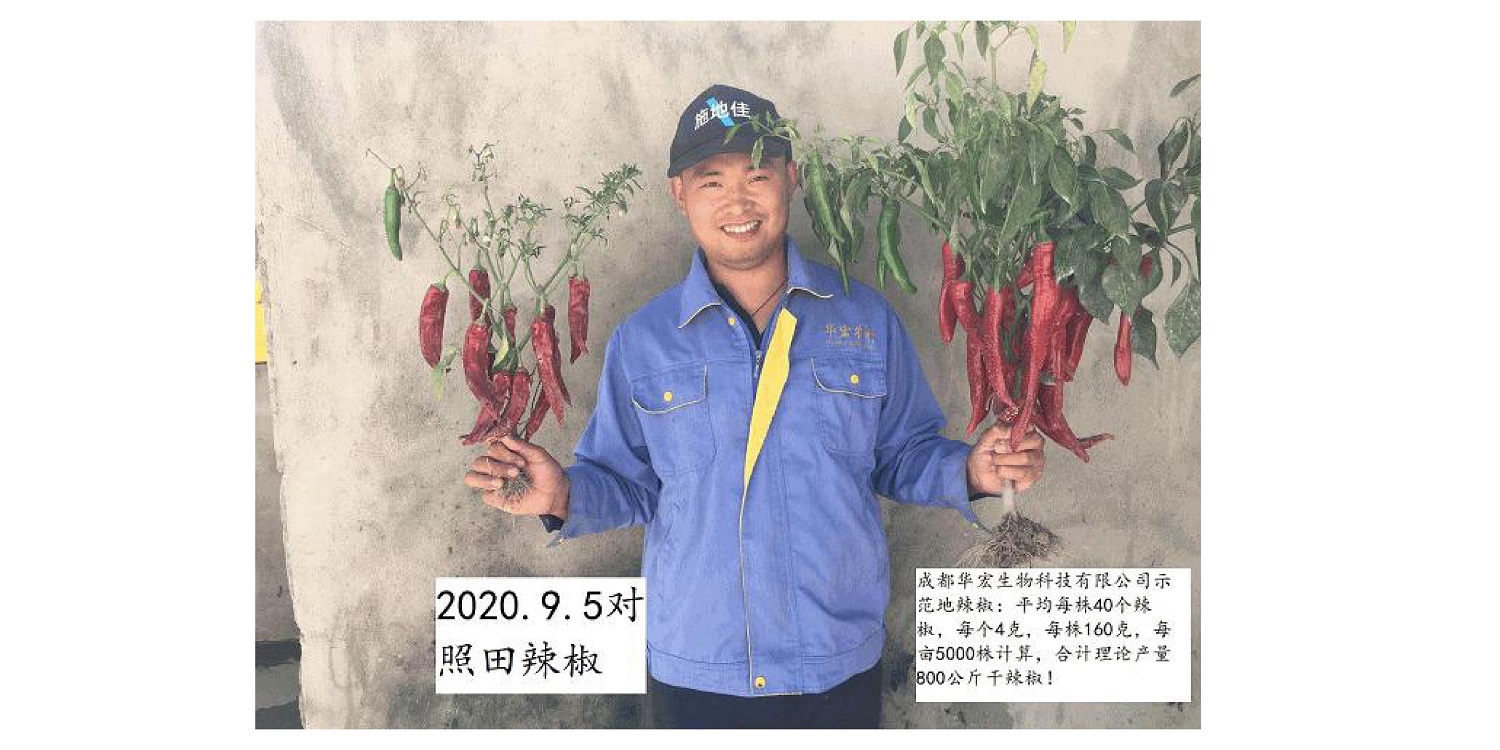 一种建复泥土沉金属的生物有机肥料及其造备步骤--成都非凡国际曹刚整顿的资料2021.12.7.0049.jpg
