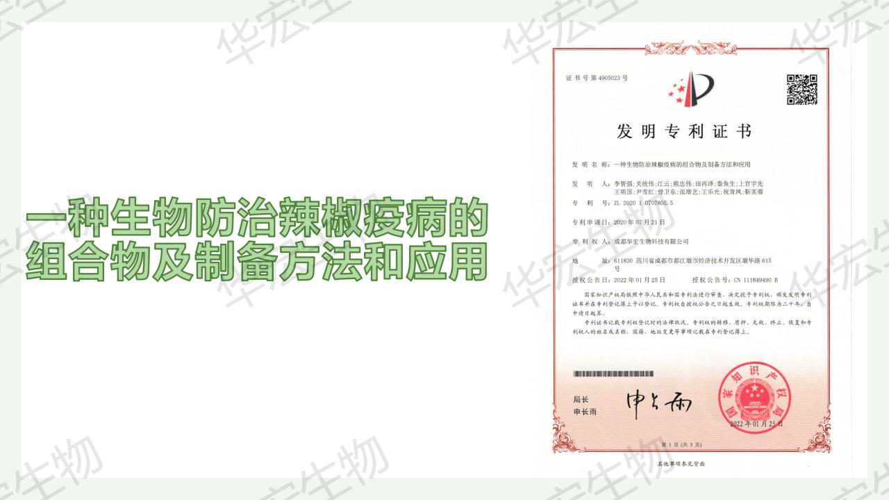 一种生物防治辣椒疫病的组合物及造备步骤和利用_02.jpg
