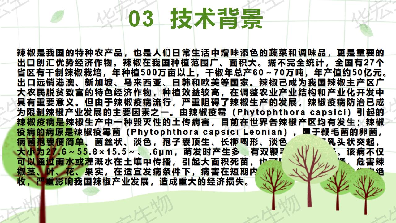 一种生物防治辣椒疫病的组合物及造备步骤和利用_10.jpg