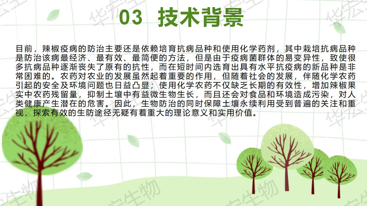 一种生物防治辣椒疫病的组合物及造备步骤和利用_11.jpg