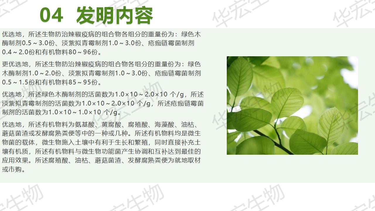 一种生物防治辣椒疫病的组合物及造备步骤和利用_15.jpg