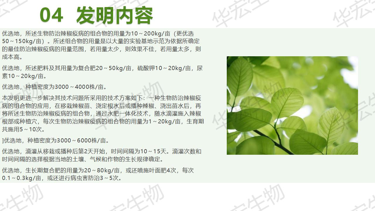 一种生物防治辣椒疫病的组合物及造备步骤和利用_18.jpg