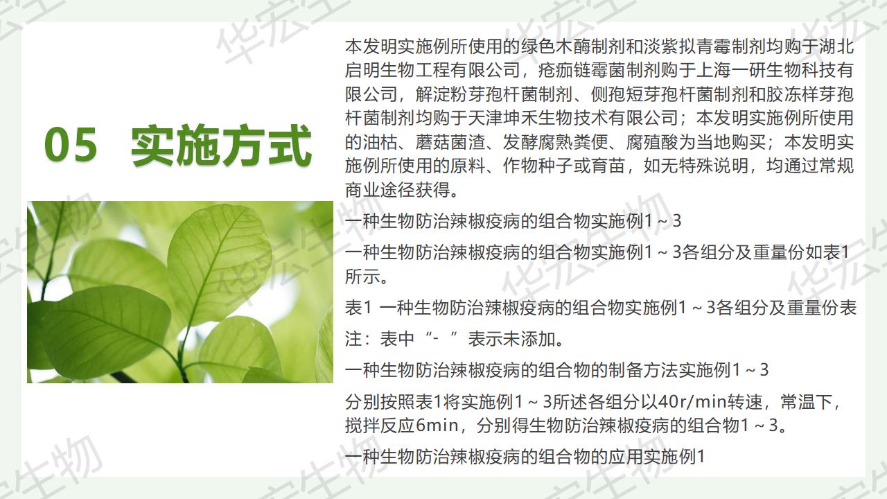 一种生物防治辣椒疫病的组合物及造备步骤和利用_20.jpg