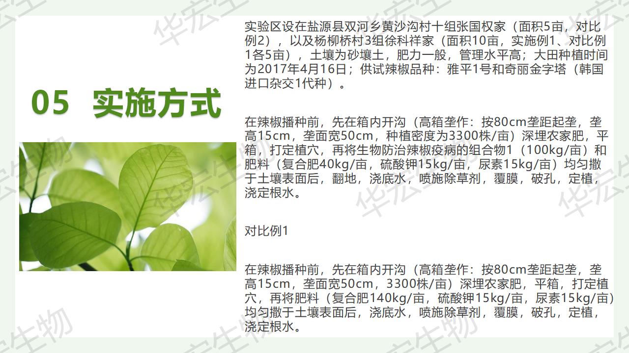 一种生物防治辣椒疫病的组合物及造备步骤和利用_21.jpg