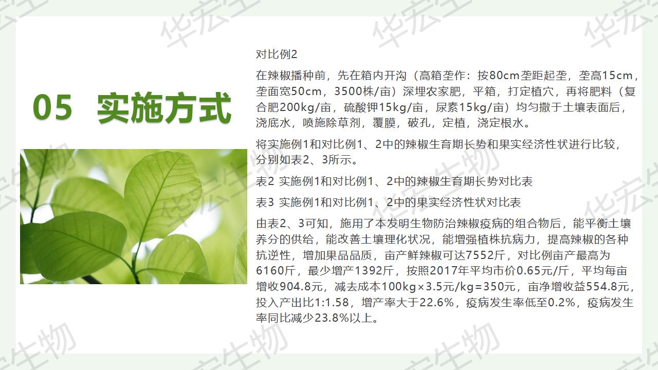 一种生物防治辣椒疫病的组合物及造备步骤和利用_22.jpg