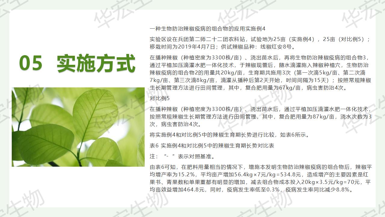 一种生物防治辣椒疫病的组合物及造备步骤和利用_25.jpg